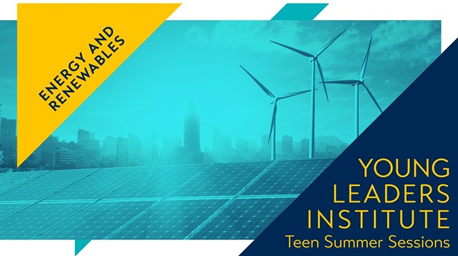 2023 Young Leaders Institute: Energy and Renewables