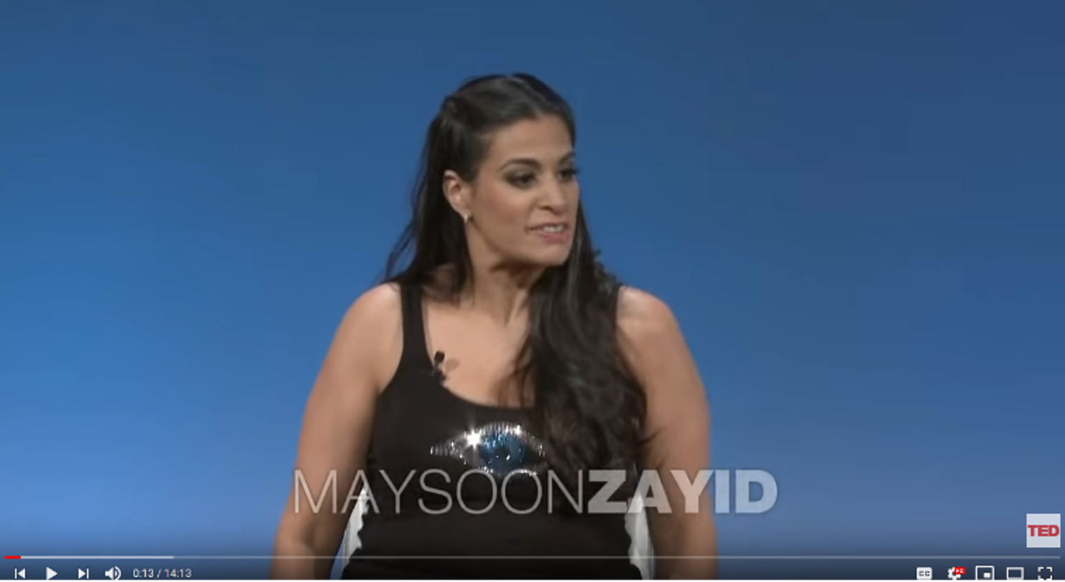 Preview Things To Do Maysoon Zayid At Asia Society Houston Press