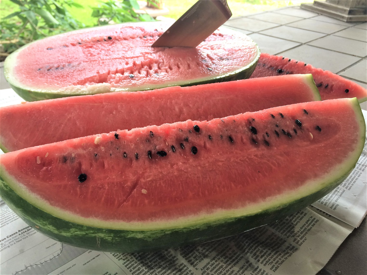 Enjoy National Watermelon Day at Home | Houston Press