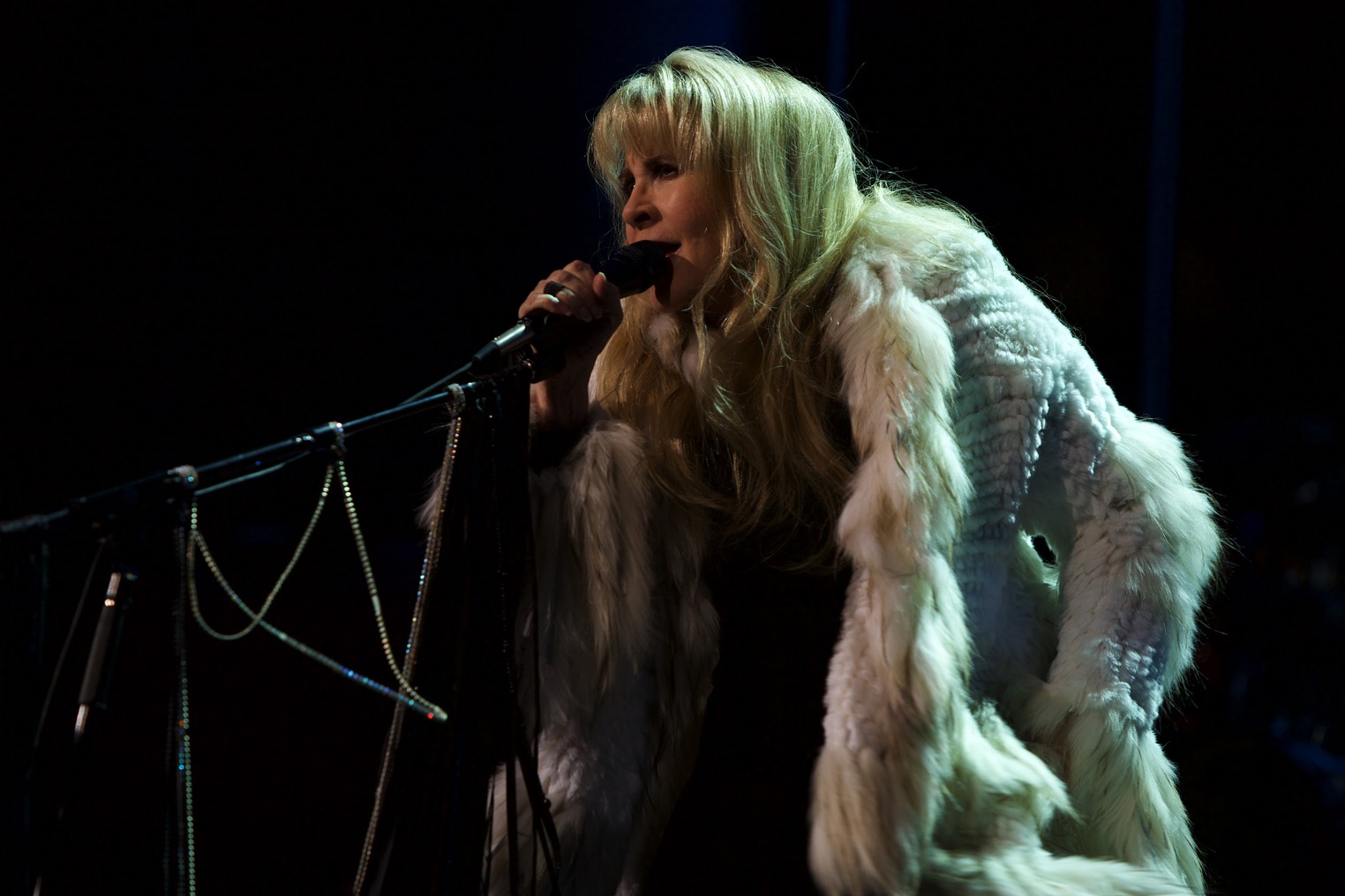 Things to Do Watch Stevie Nicks the 24K Gold Concert Houston Press