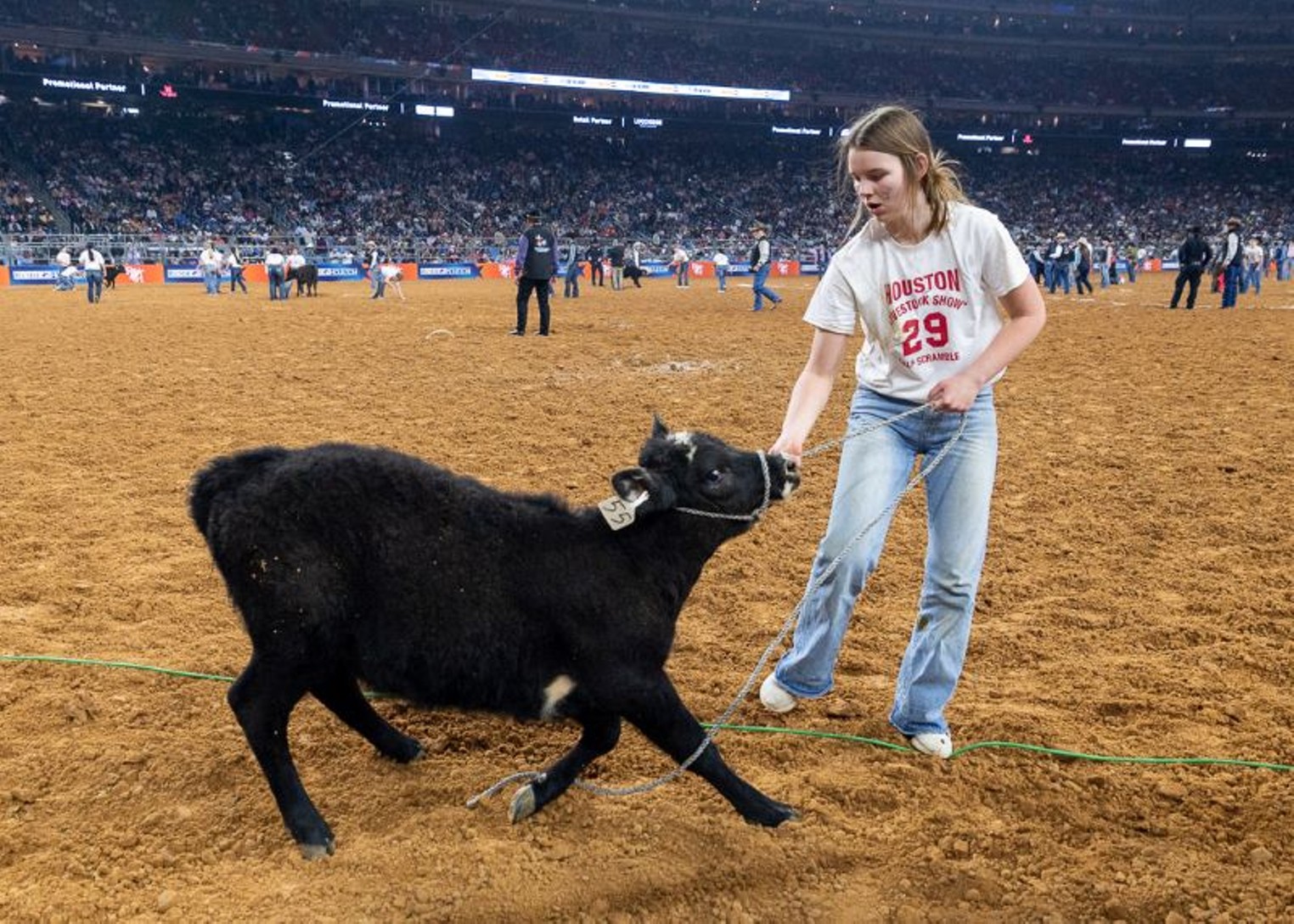 Houston Texans vs. Tennessee Titans, Houston Livestock Show & Rodeo, Football, Houston Press