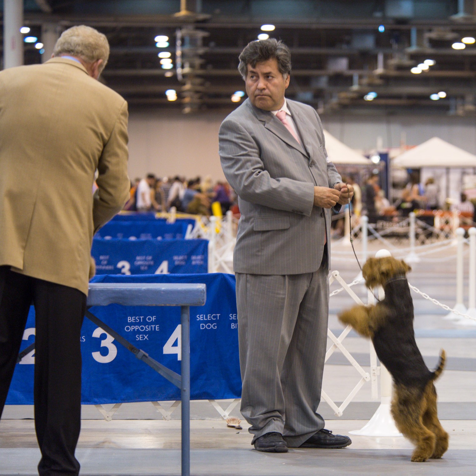 World Series of Dog Shows at NRG Park Houston Houston Press The