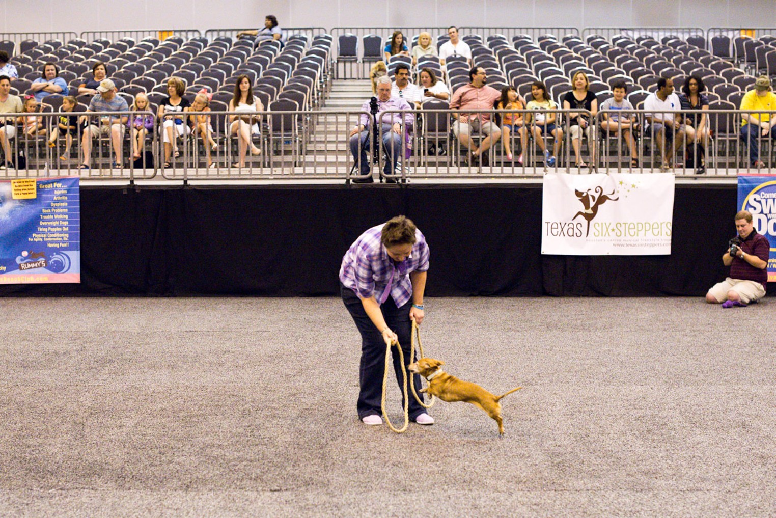 World Series of Dog Shows at NRG Park Houston Houston Press The