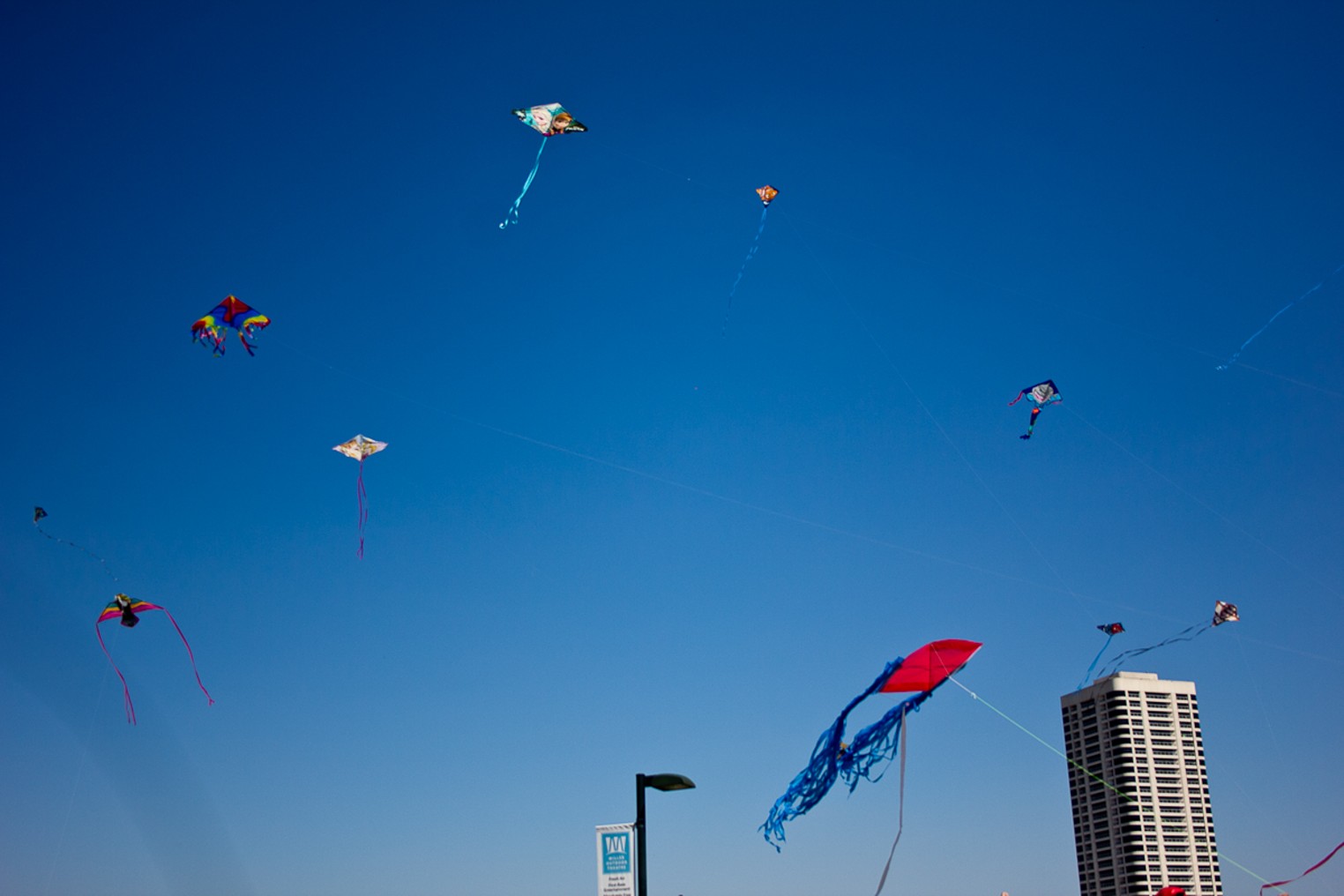 Flying High at the Kite Festival Houston Houston Press The