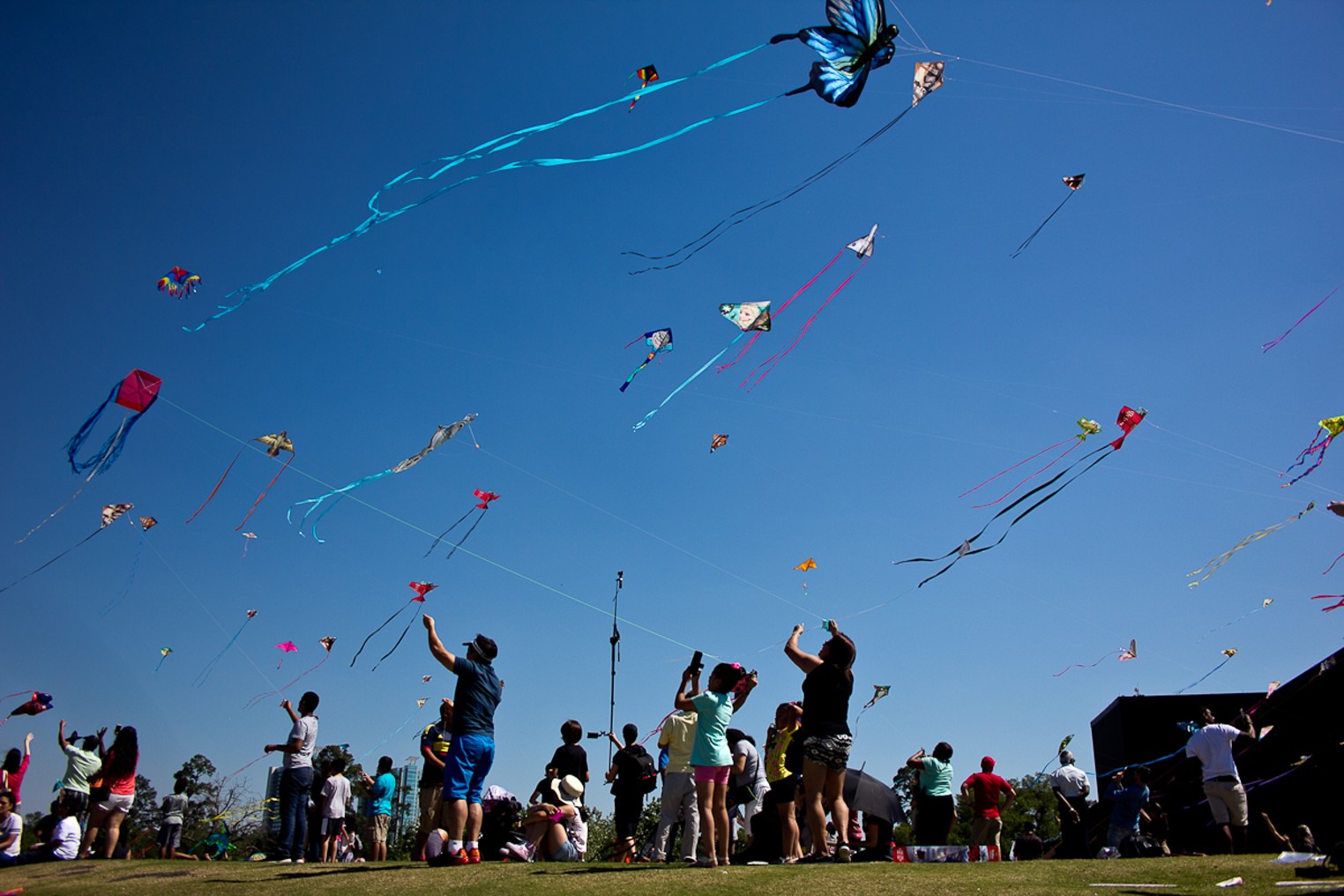 Flying High at the Kite Festival Houston Houston Press The