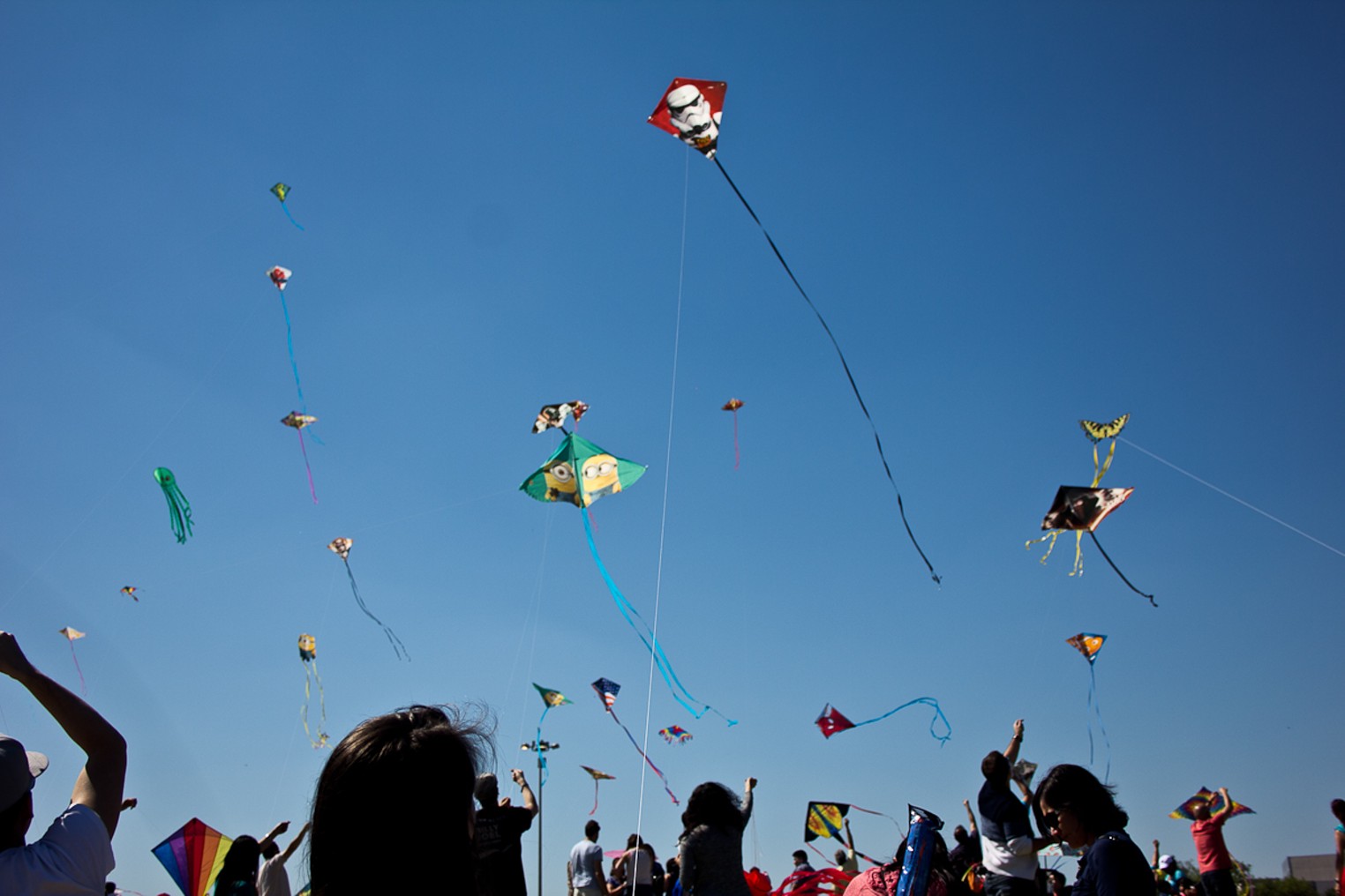 Flying High at the Kite Festival Houston Houston Press The