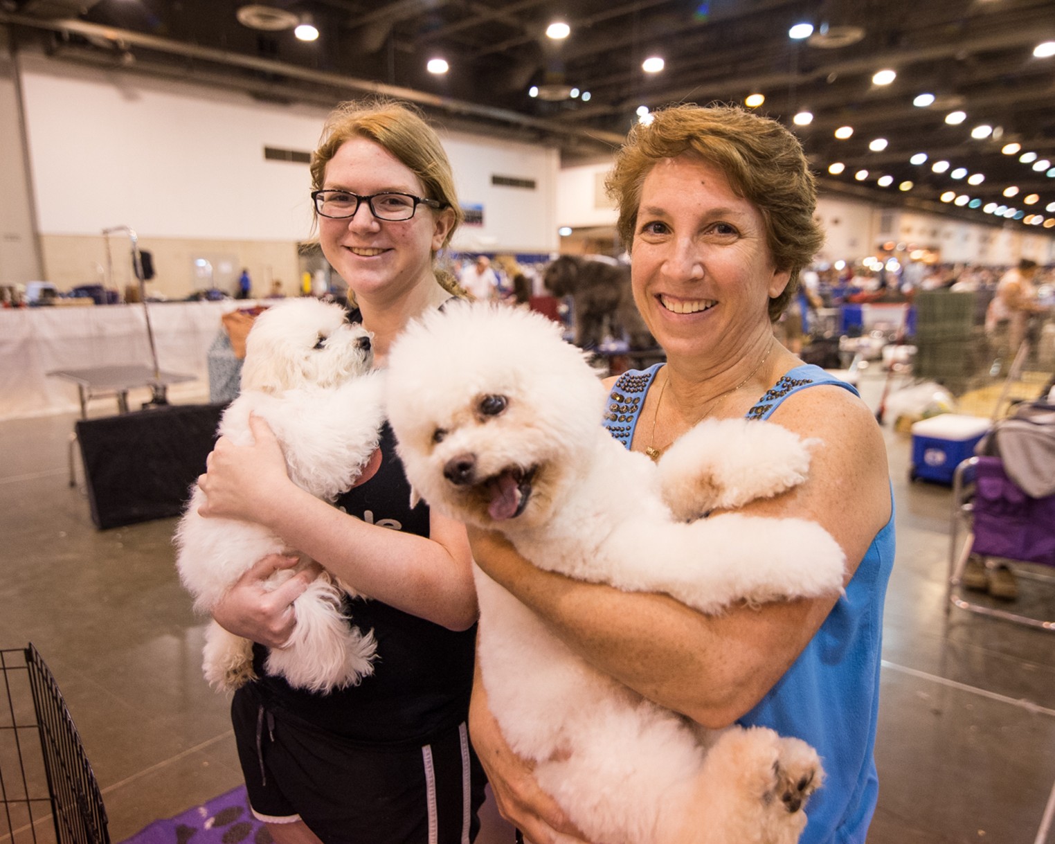 Lots of Love at the Houston World Series of Dog Shows Houston