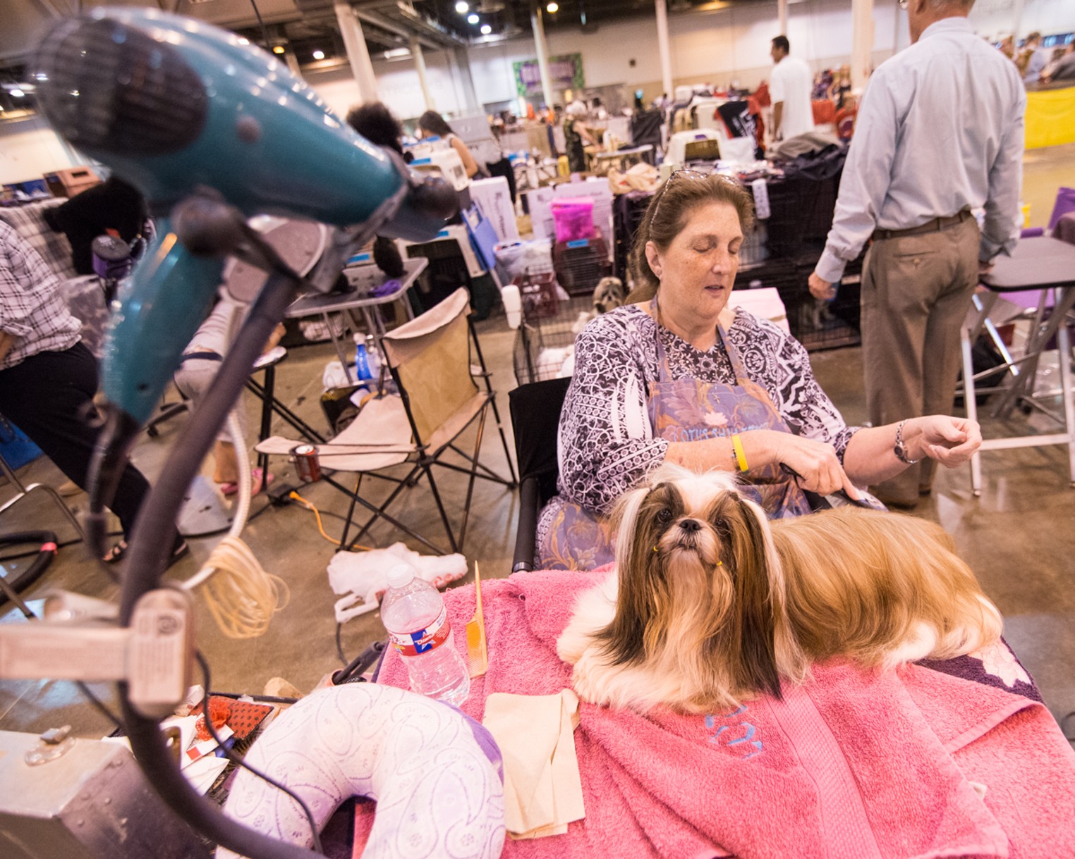 Lots of Love at the Houston World Series of Dog Shows Houston