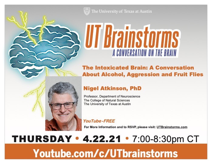 UT Brainstorms April 22, 2021 Flyer