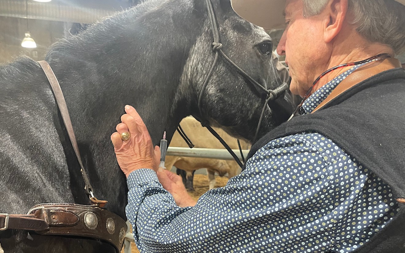 Before administering any kind of shot to horses he treats, Dr. Gregg Knape is sure to gently touch them and alert the animals that he is about to do something.