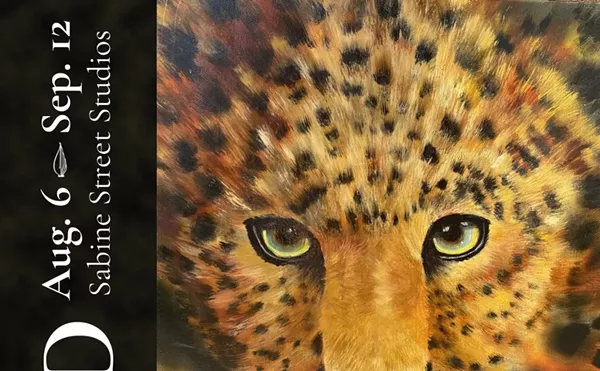 Image: Wild: A Collaboration Exhibition