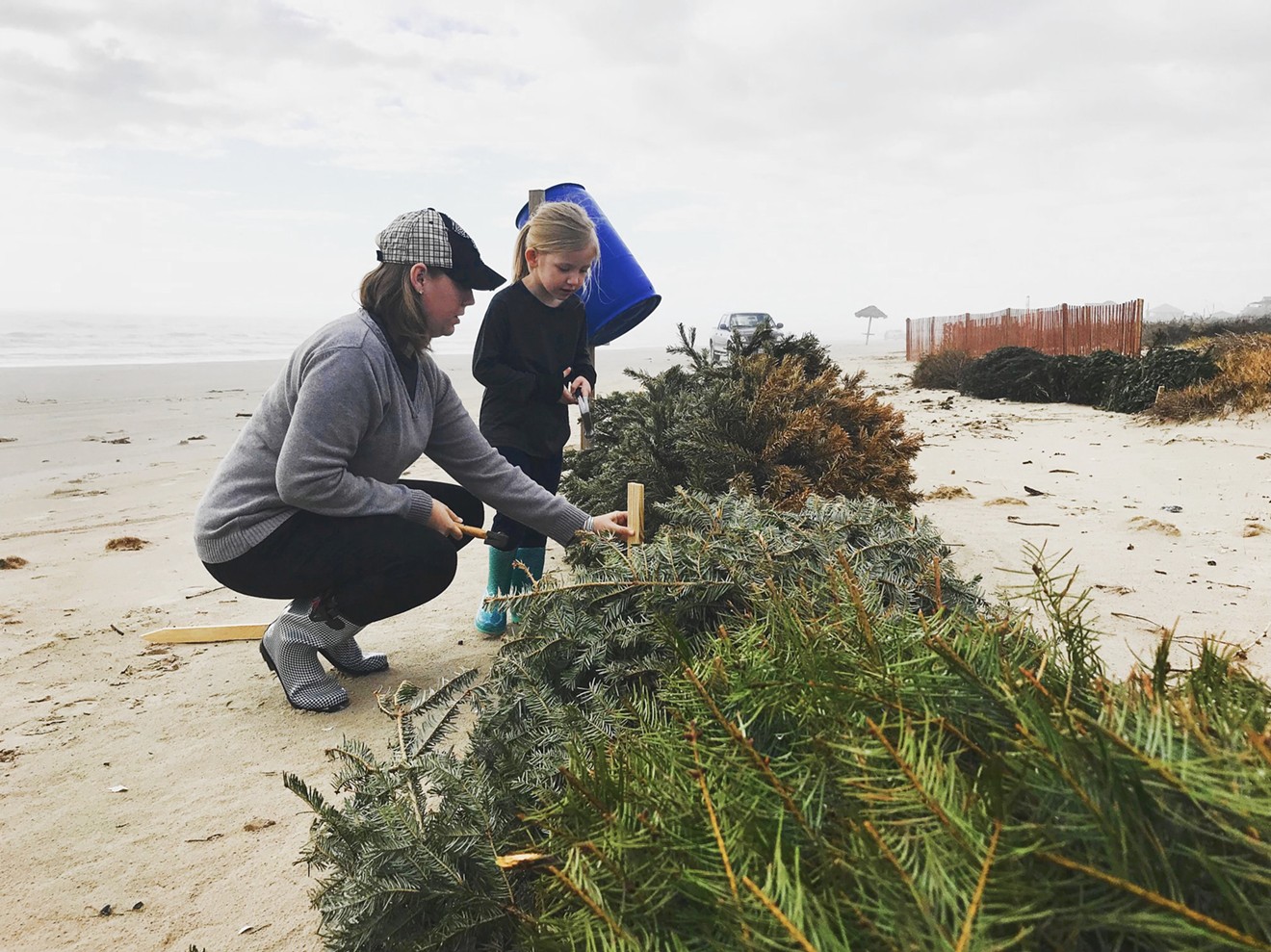 A mother and daughter help to anchor trees on Dunes Day.